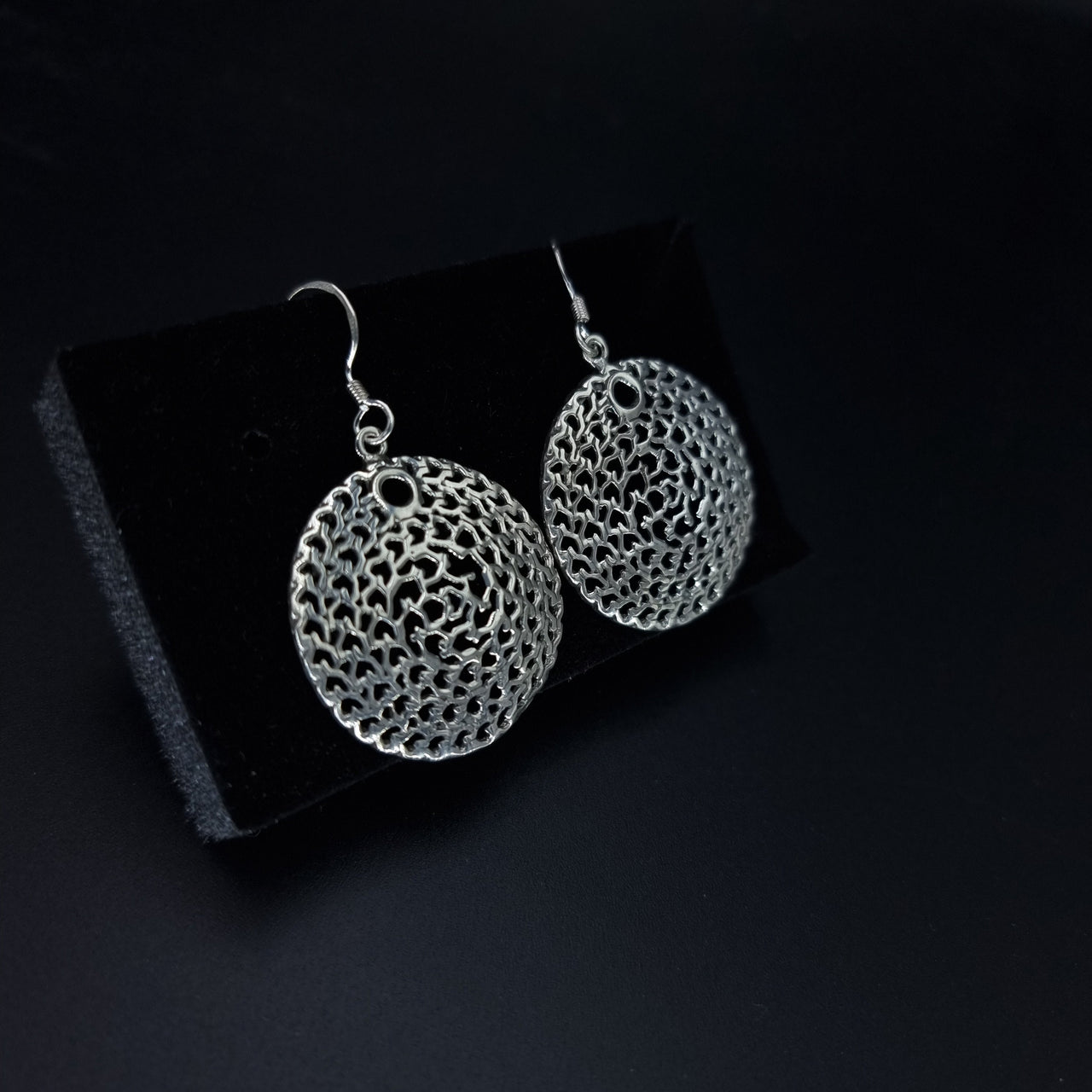 Circle Shape Hook Earring